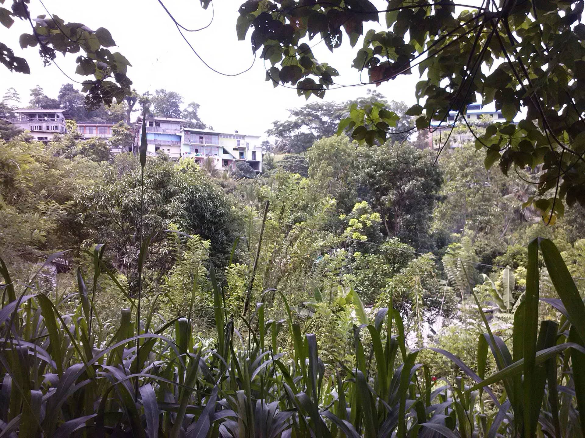 Residential Land for Sale in Anuradhapura