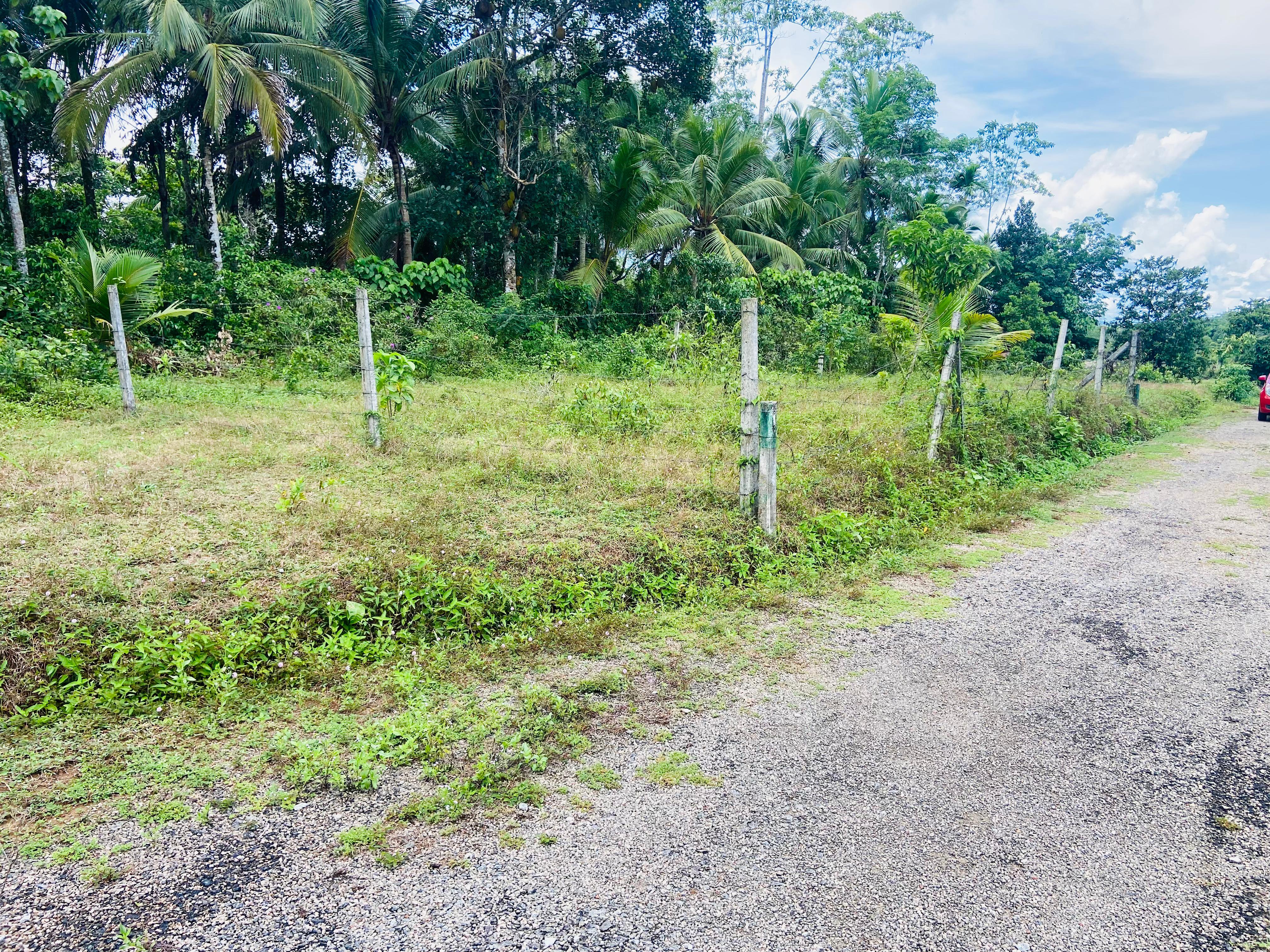 Residential Land for Sale in Horana