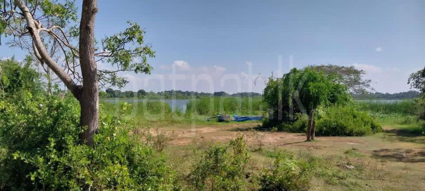 Agricultural Land for Sale in Hambantota ads-image-1