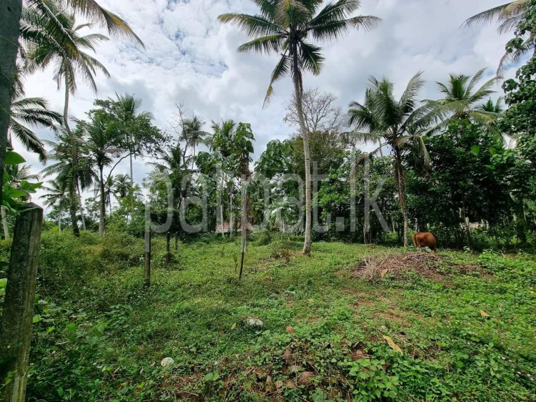 Residential Land for Sale in Padukka