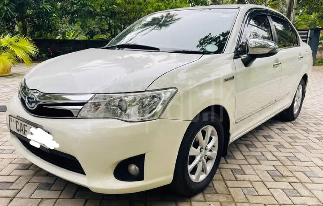 Advertisement image 3