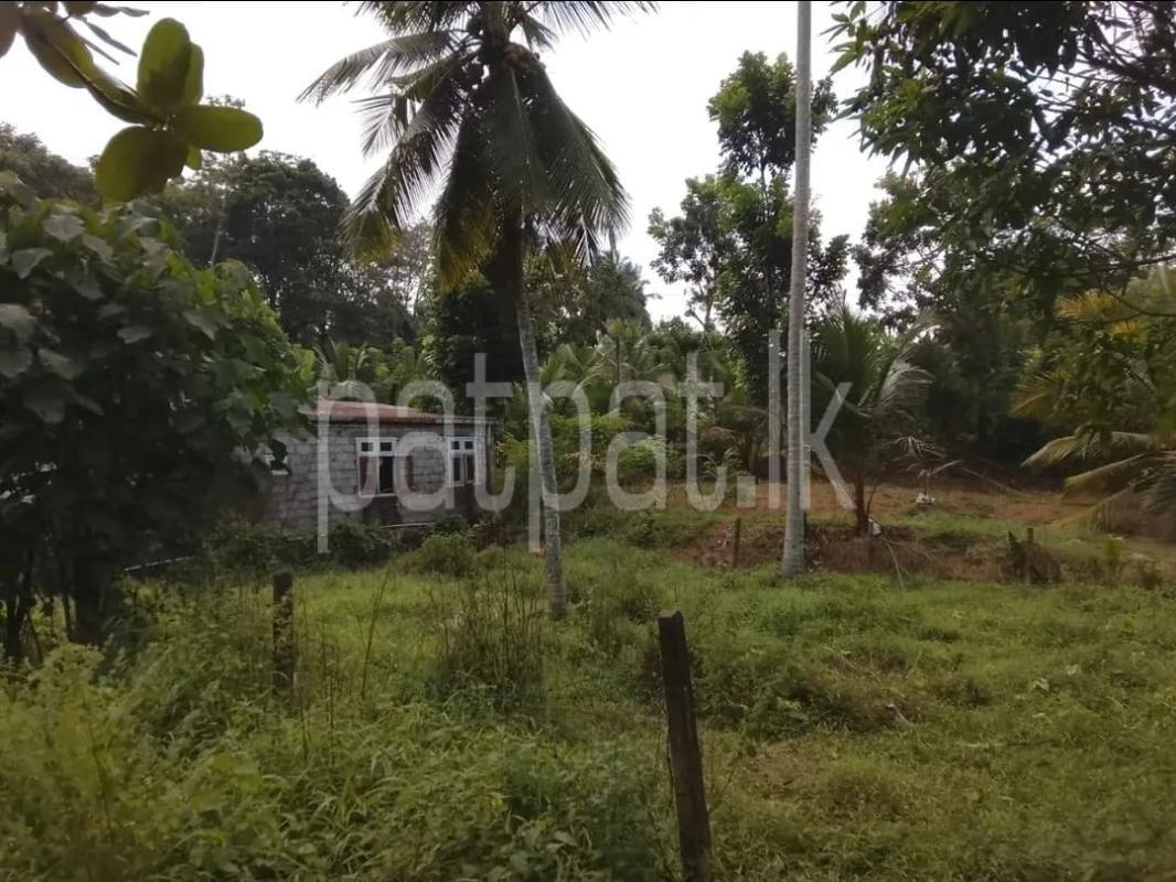 Advertisement image 1