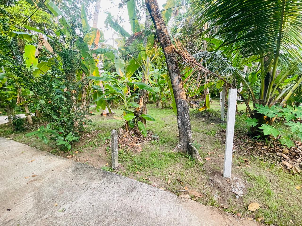 Commercial Land for Rent in Ja-Ela