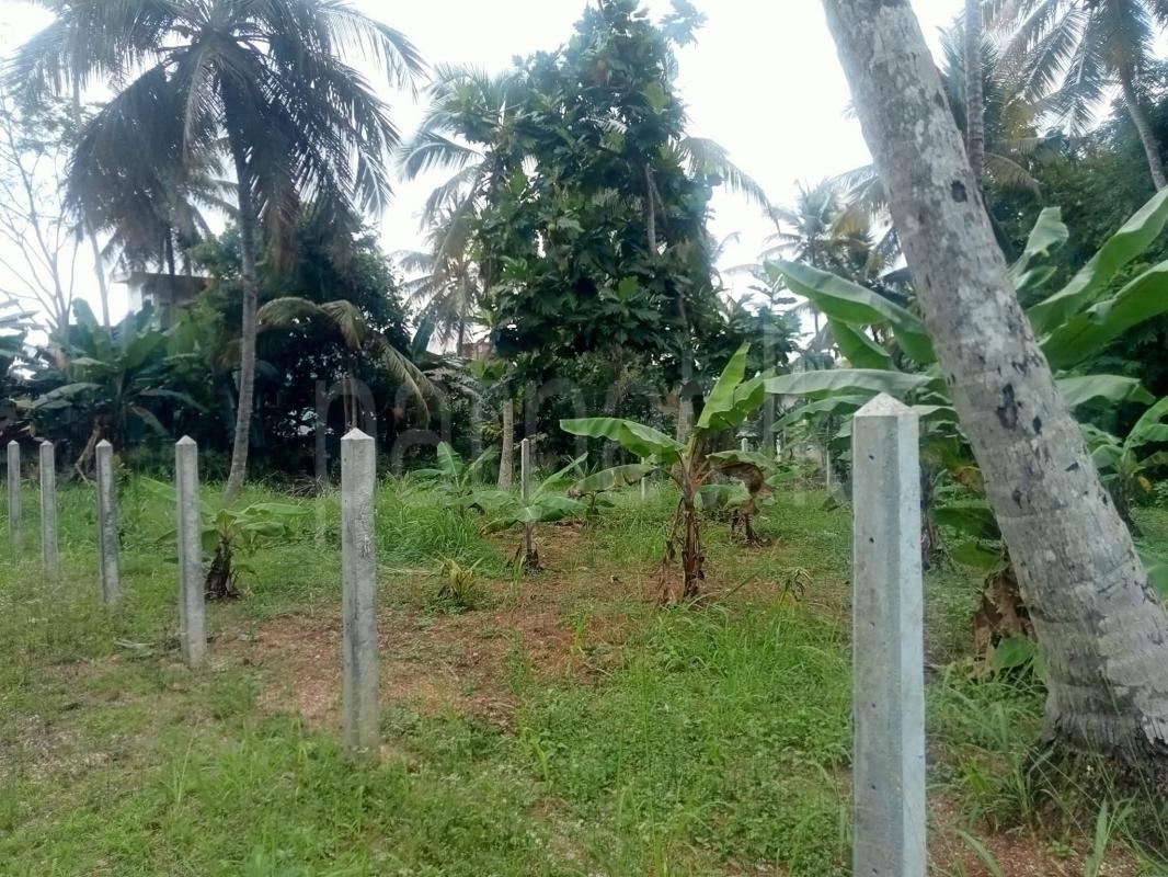 Residential Land for Sale in Kurunegala