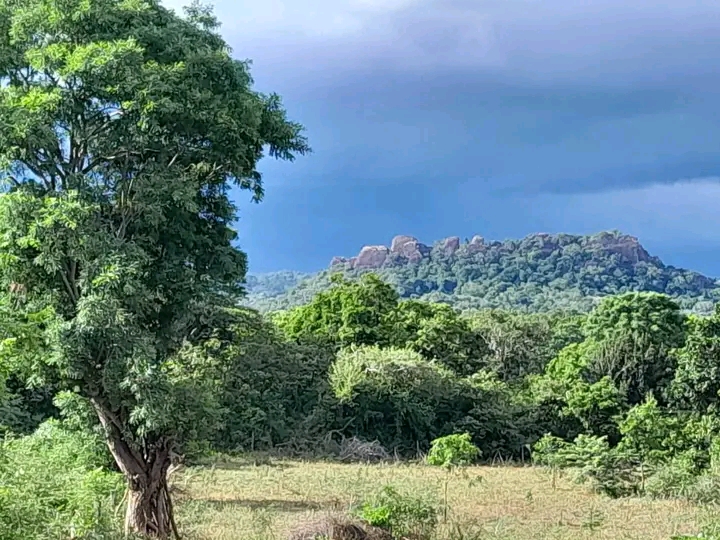 Commercial Land for Sale in Kataragama