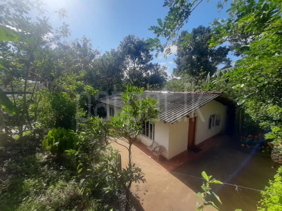 House for Sale in Kandy ads-image-1