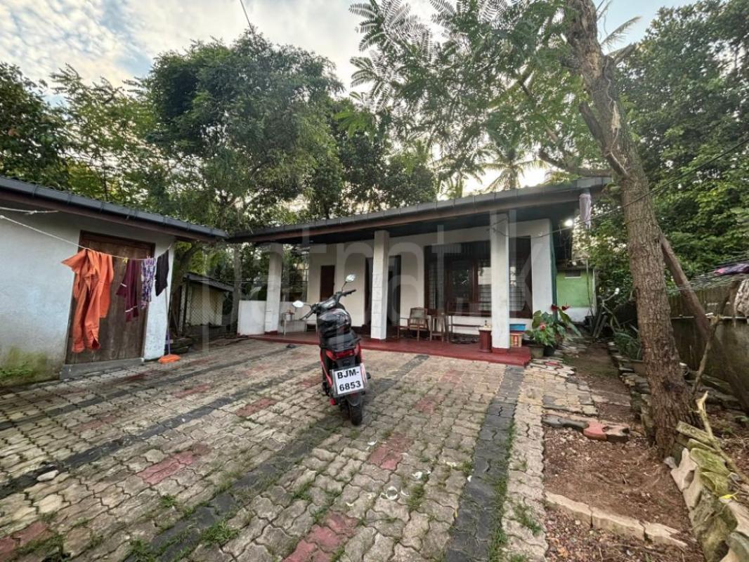 House for Sale in Panadura ads-image-1