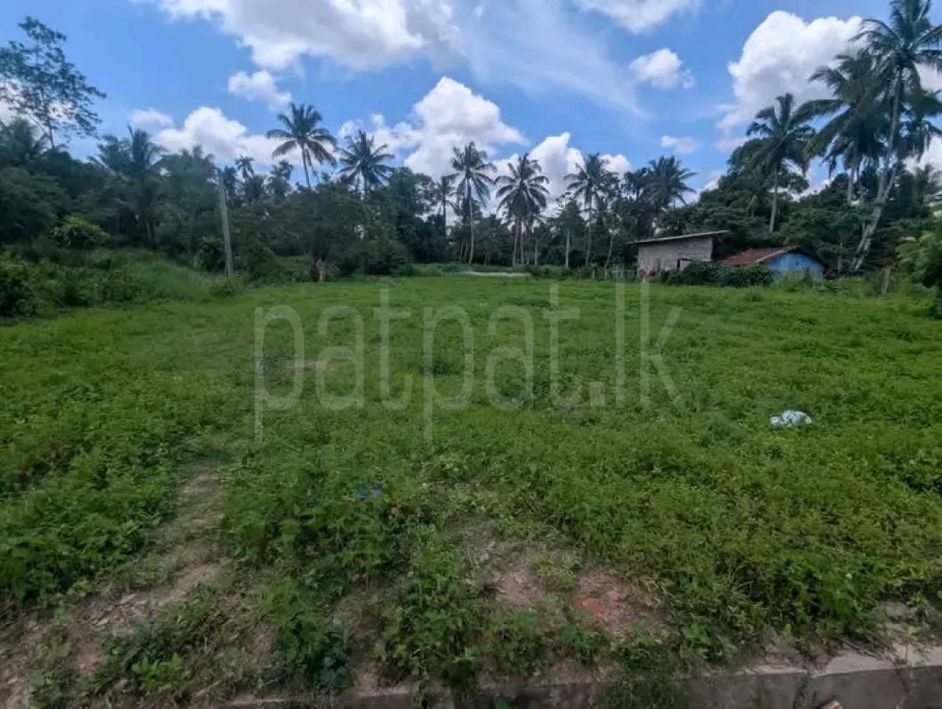 Commercial Land for Sale in Divulapitiya