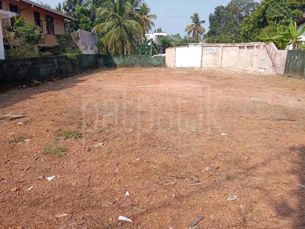 Commercial Land for Sale in Wattala
