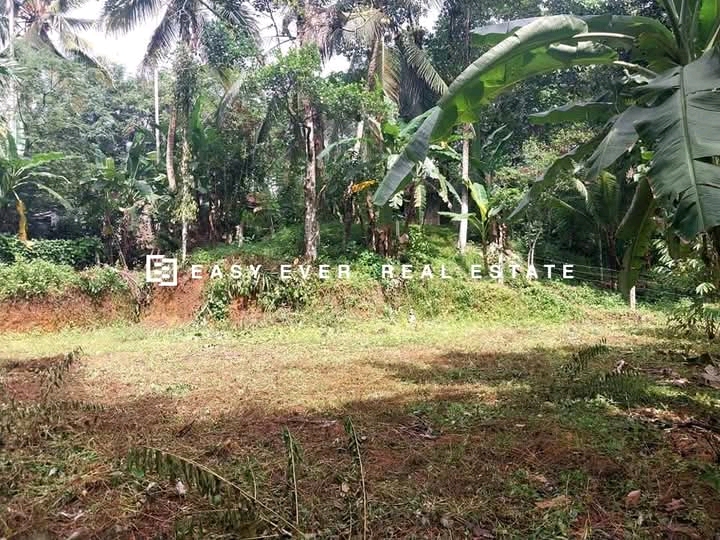 Commercial Land for Sale in Nittambuwa