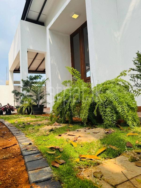 House for Sale in Homagama