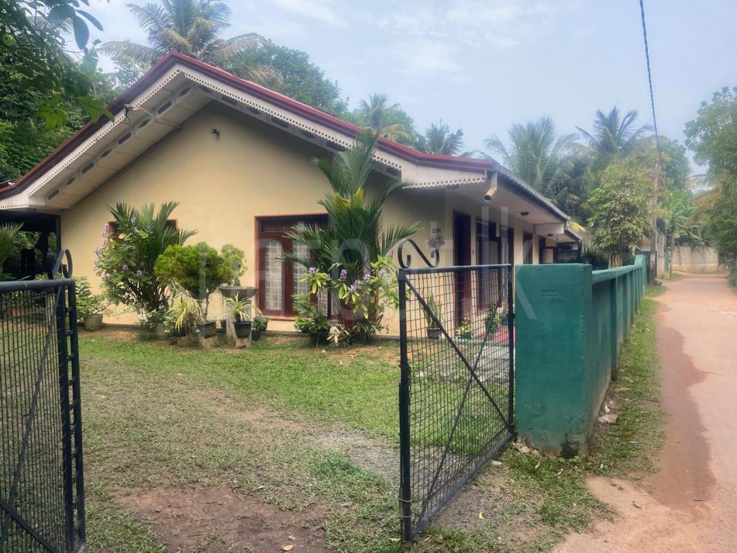 House for Sale in Dikwella ads-image-1