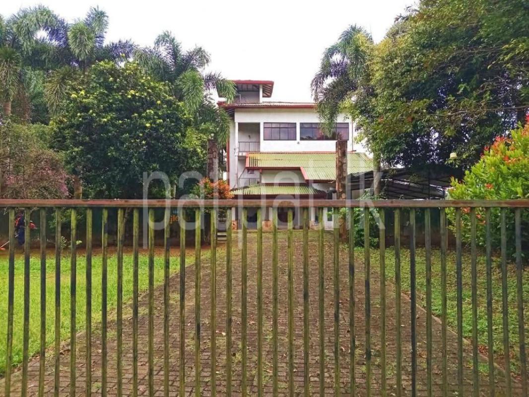 Advertisement image 3