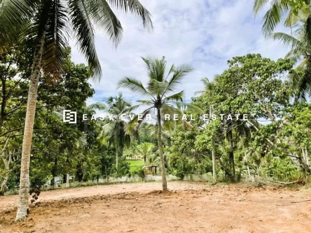 Residential Land for Sale in Kirindiwela ads-image-1