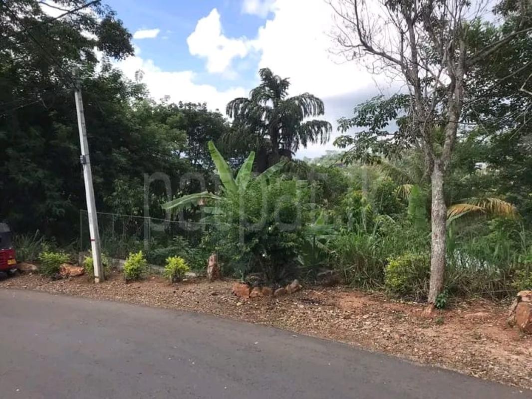 Residential Land for Sale in Hantane ads-image-1