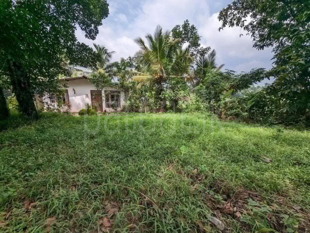 Residential Land for Sale in Kadawatha