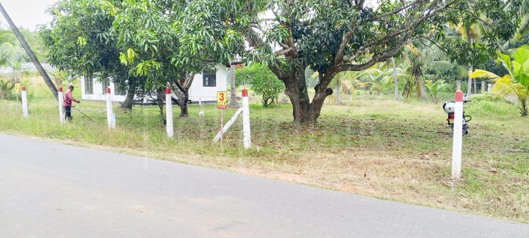 Residential Land for Sale in Wellawa