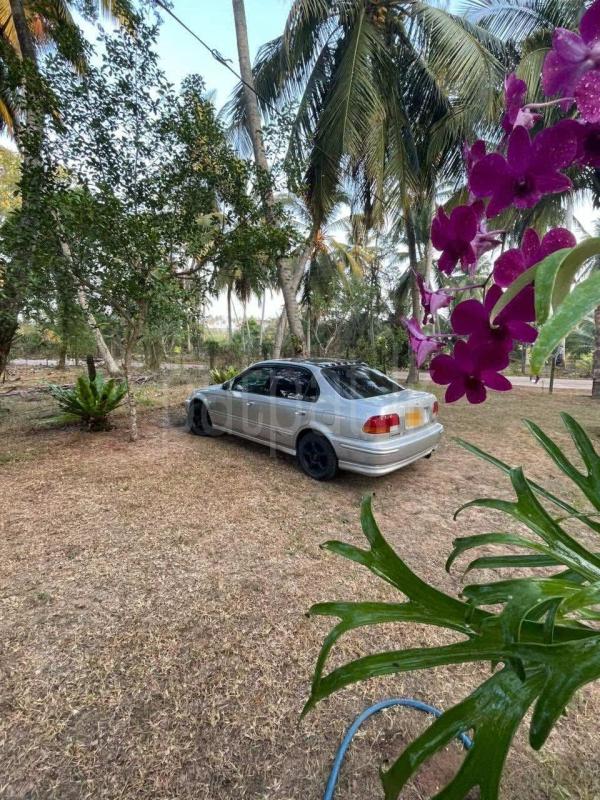 Honda Civic 1998 - பயன்படுத்தப்பட்டது கார் sale in Sri Lanka - patpat.lk
