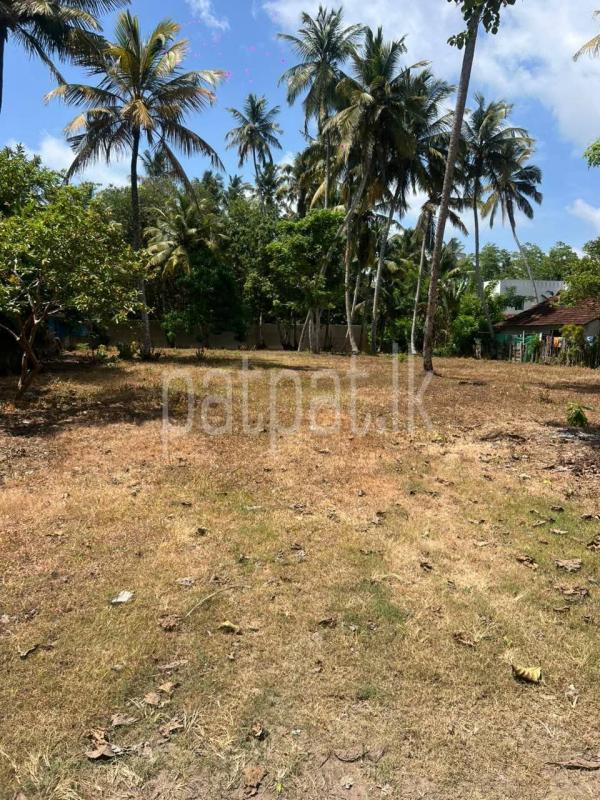 Commercial Land for Sale in Unawatuna ads-image-1