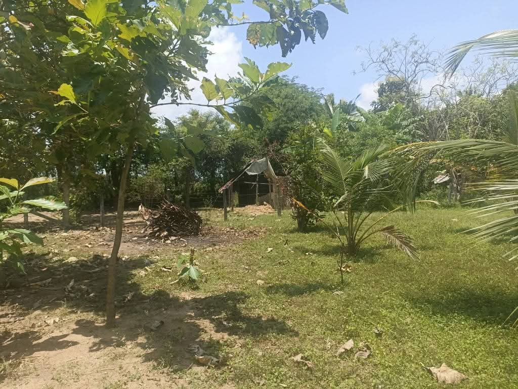 Residential Land for Sale in Puttalam