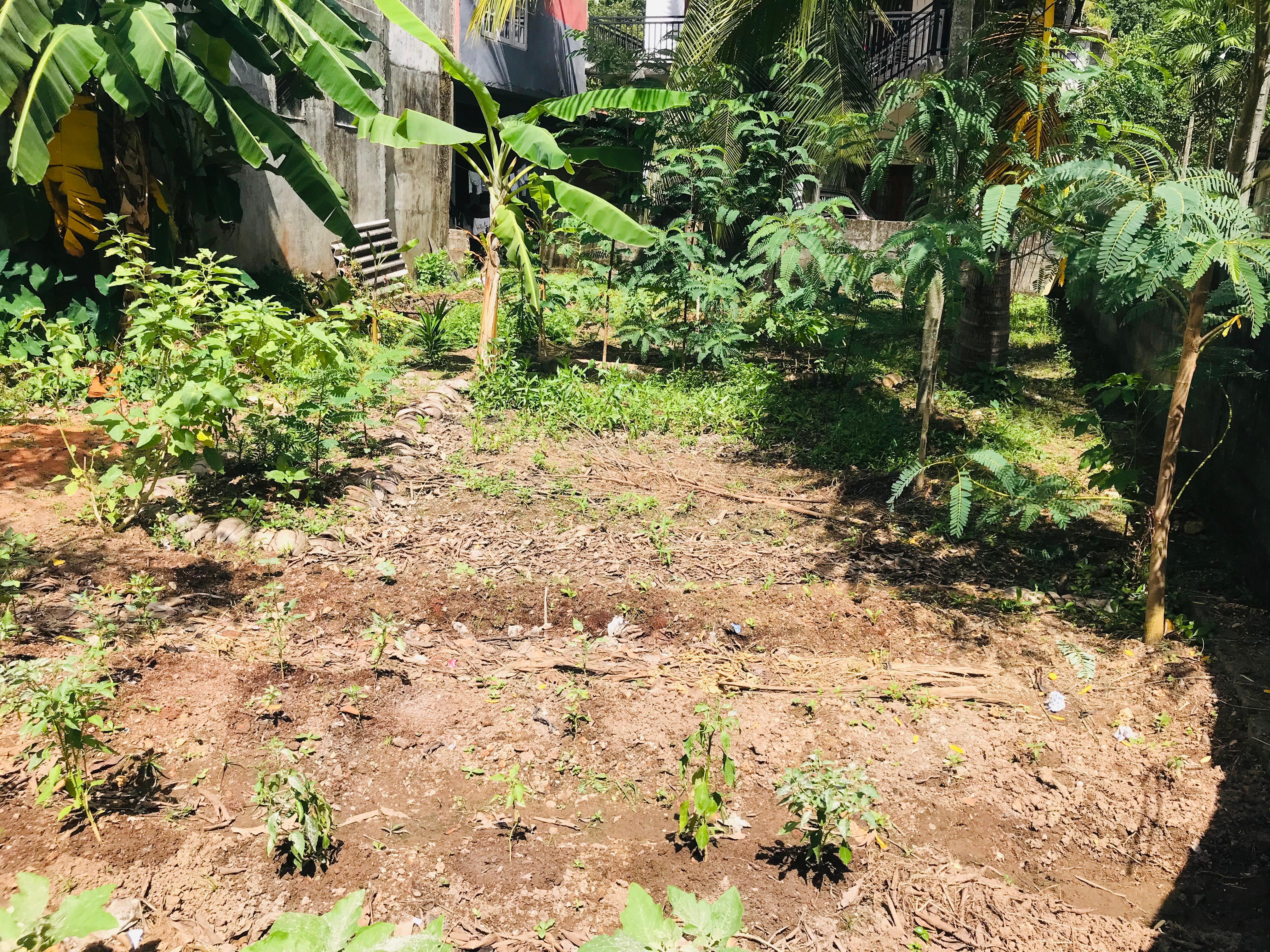 Residential Land for Sale in Angoda