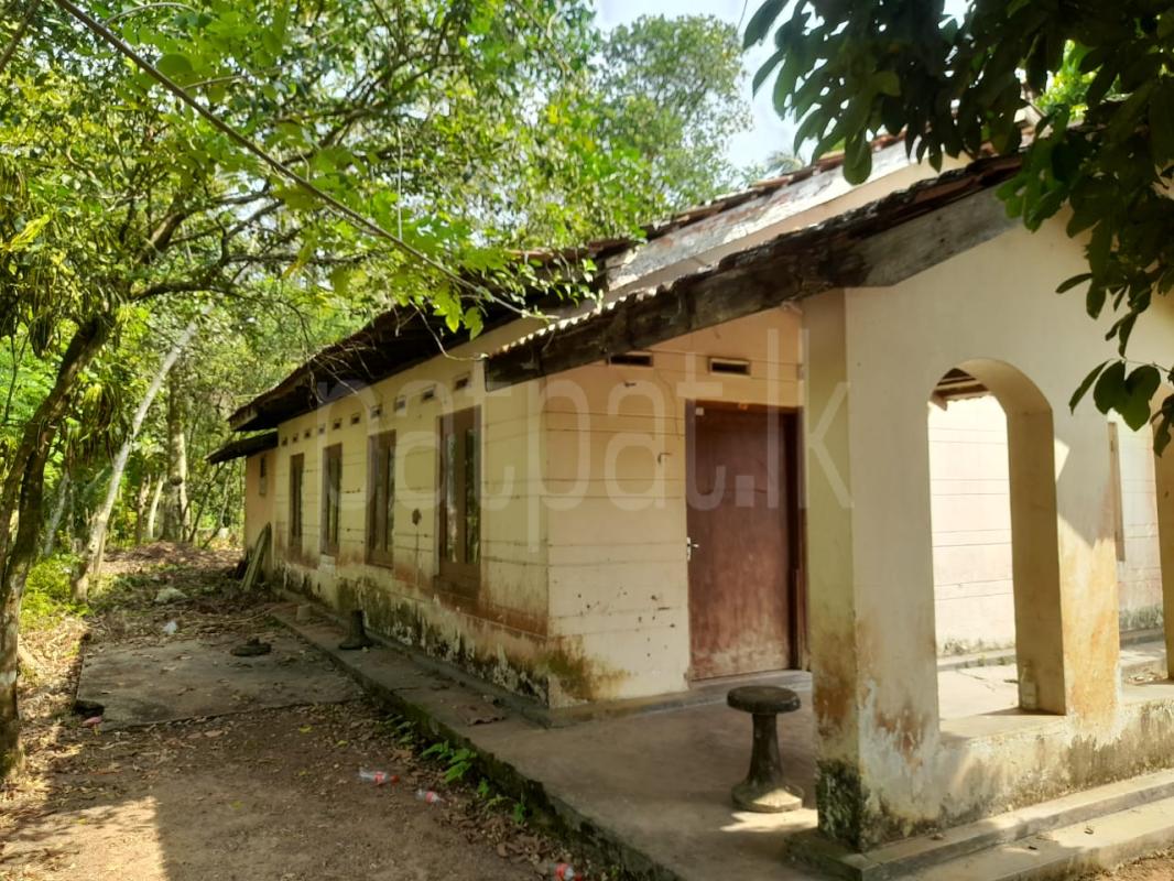 Agricultural Land for Sale in Dompe