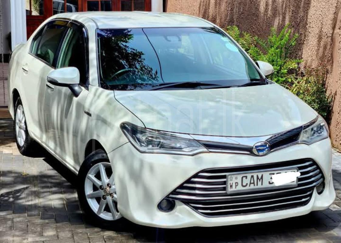 Advertisement image 1