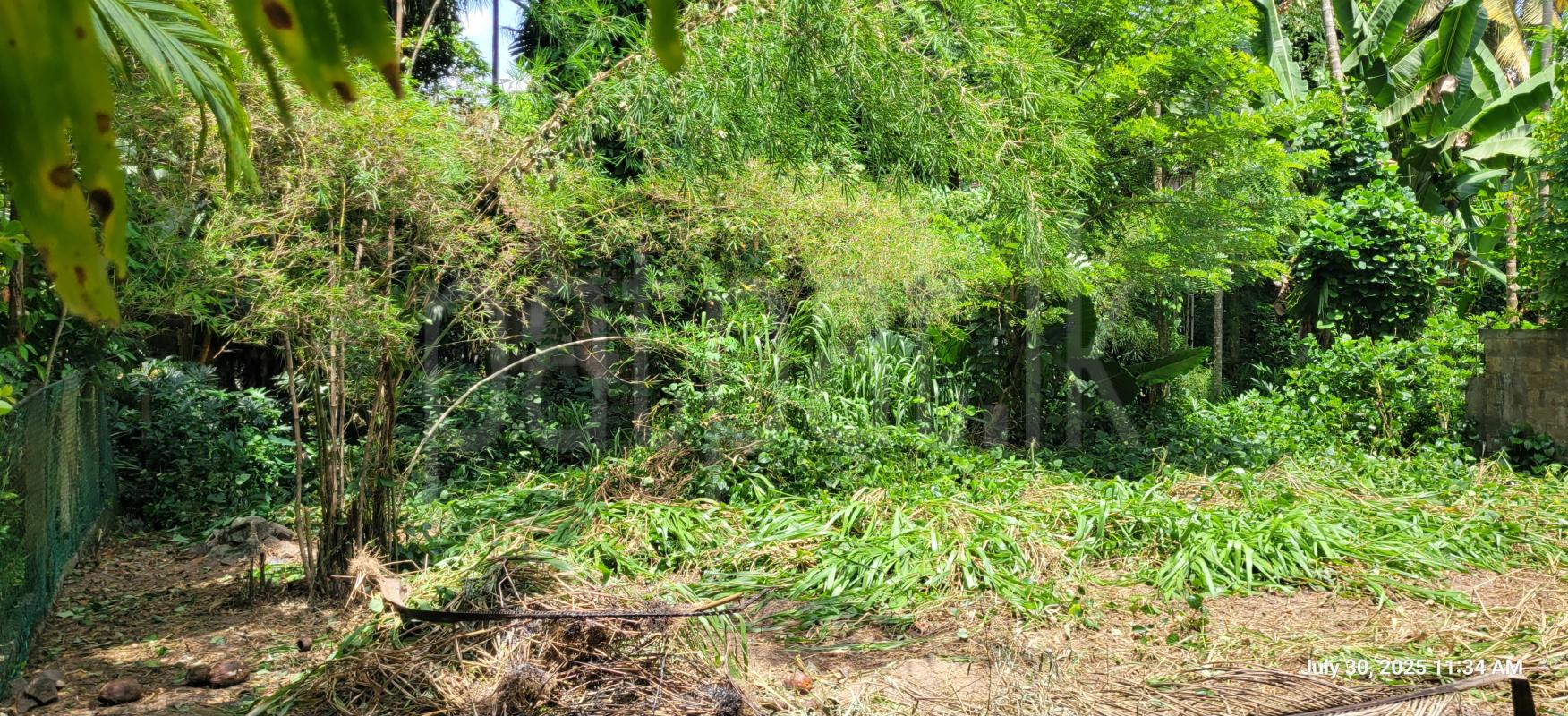 Residential Land for Sale in Nittambuwa