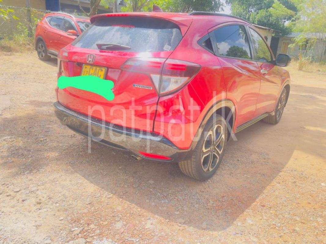 Advertisement image 2