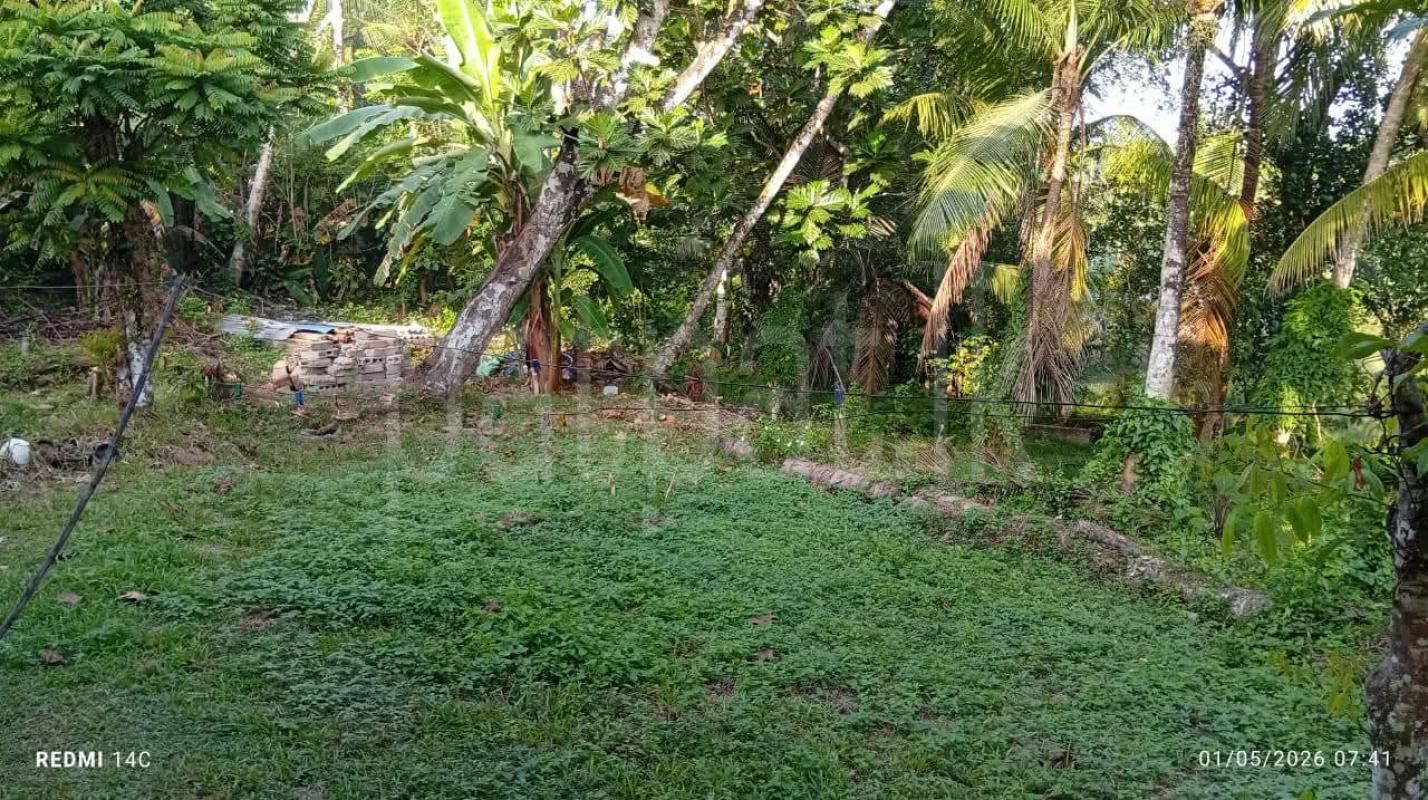 Commercial Land for Sale in Homagama