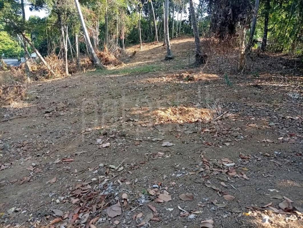 Residential Land for Sale in Veyangoda