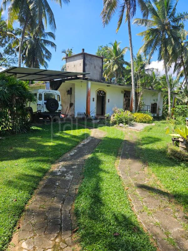 premium-listing-image