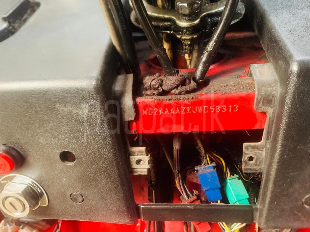 Advertisement image 6