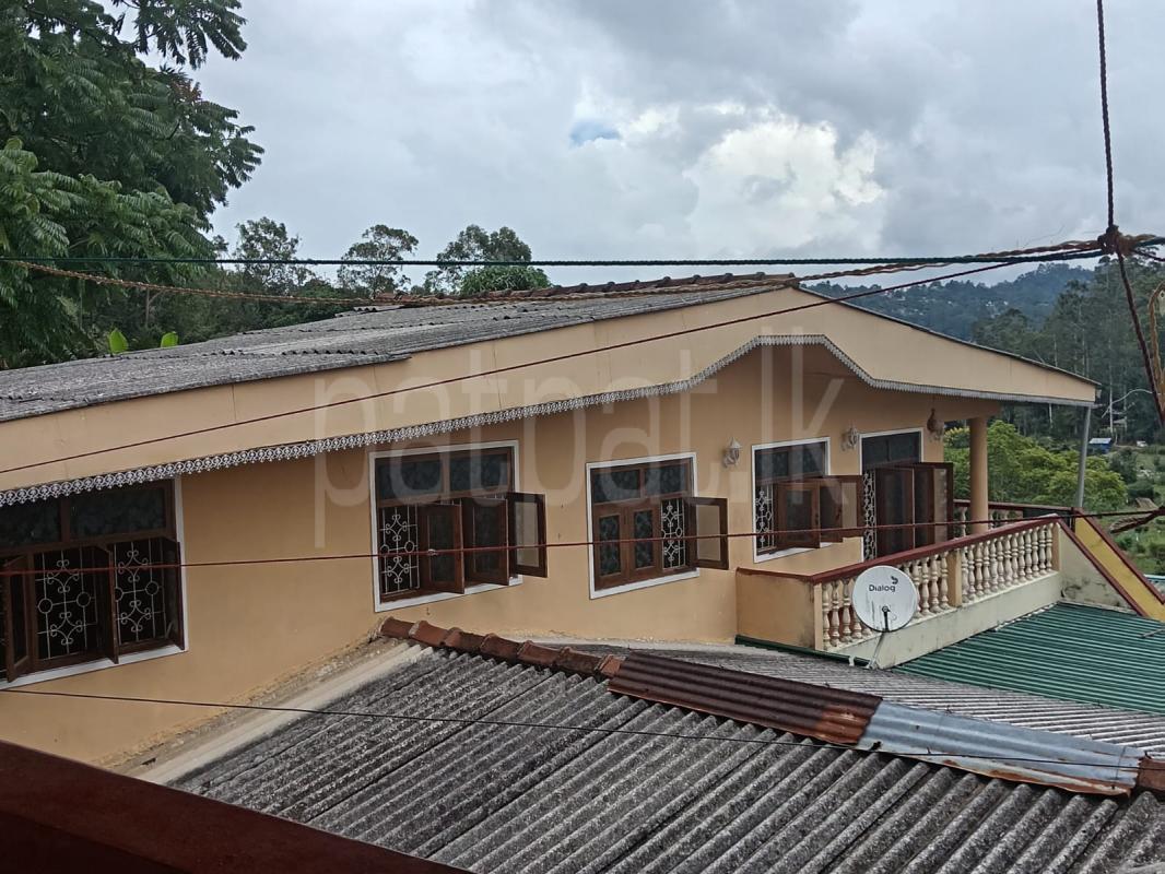 premium-listing-image