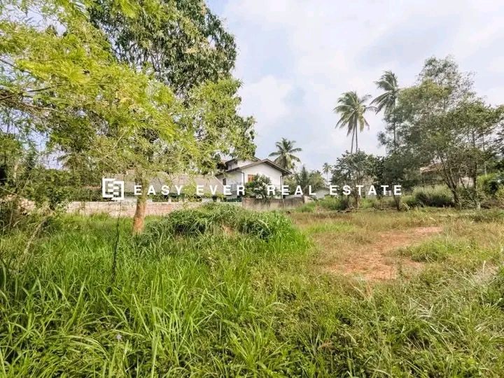 Commercial Land for Sale in Minuwangoda