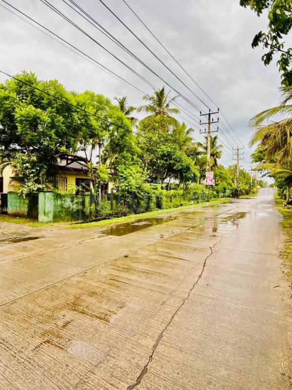 Residential Land for Sale in Uswetakeiyawa