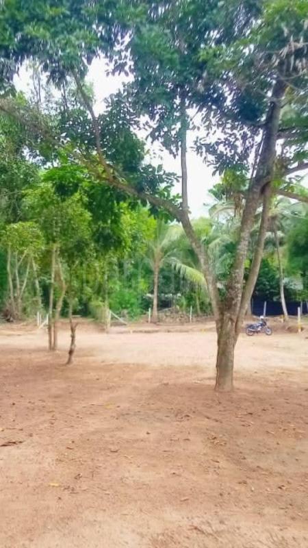 Residential Land for Sale in Divulapitiya