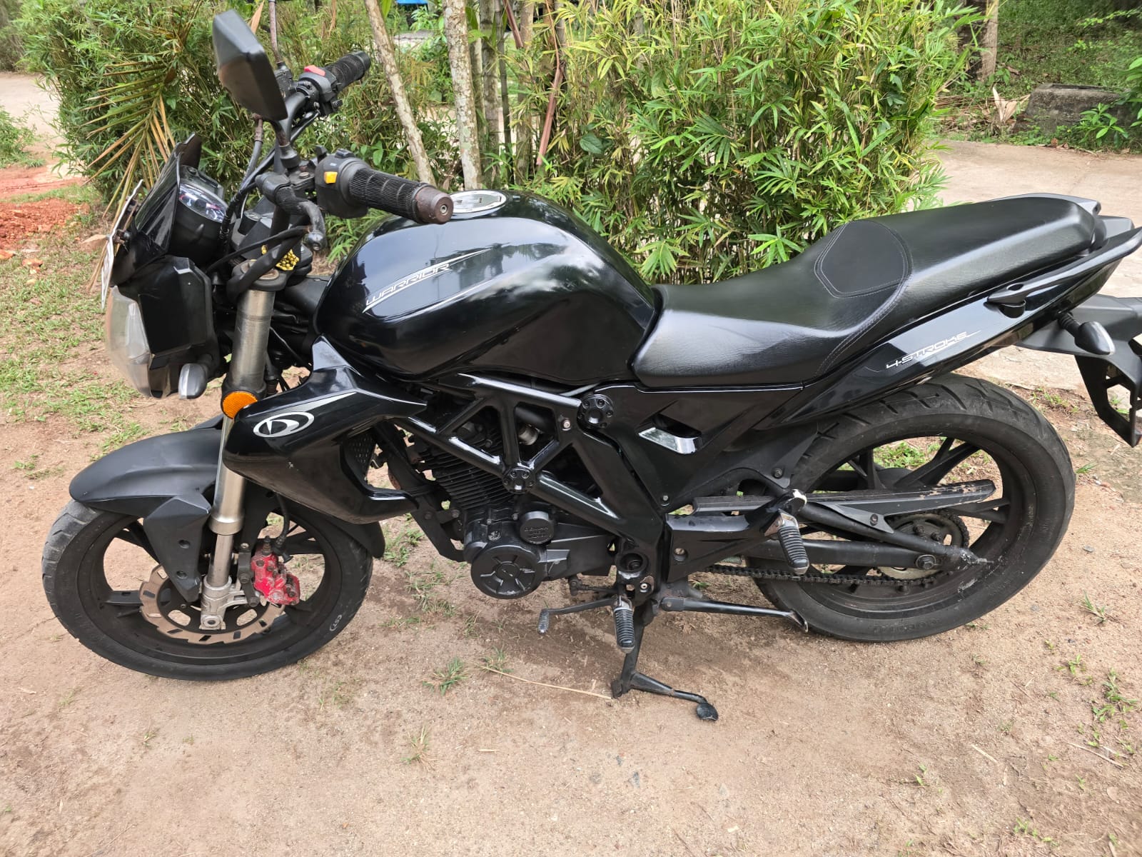 Demak Warrior 2017 - Used Bike sale in Sri Lanka - patpat.lk