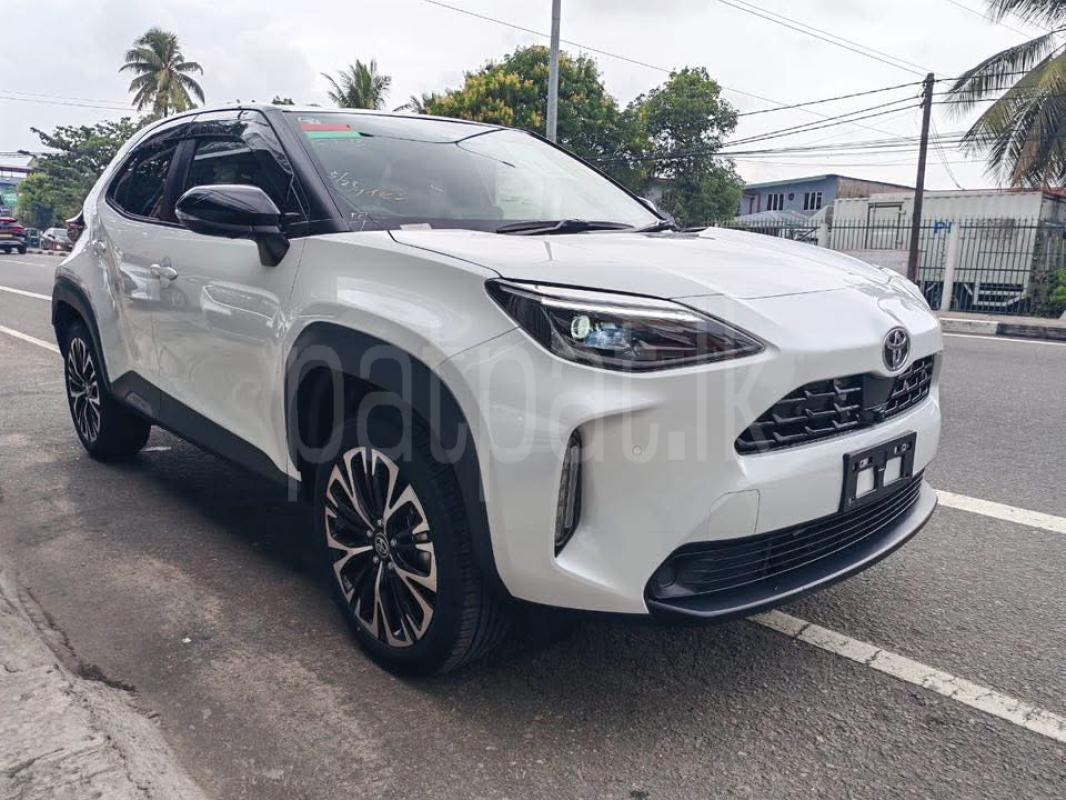 Advertisement image 2