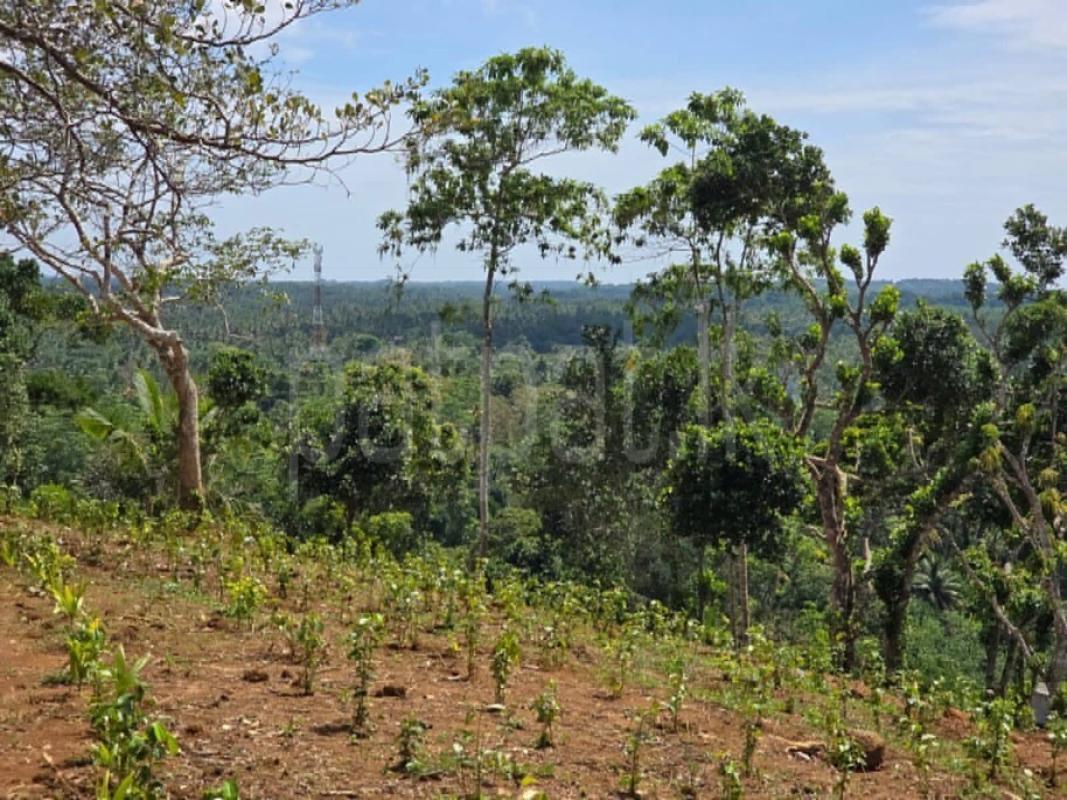 Commercial Land for Sale in Weligama