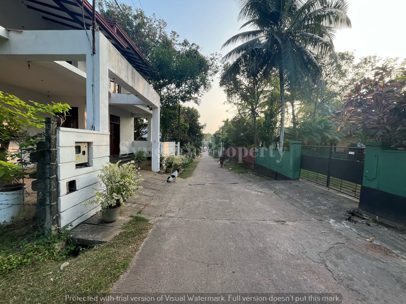 Advertisement image 1