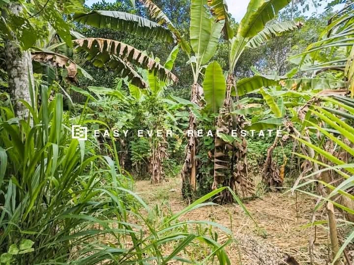 Commercial Land for Sale in Kalagedihena