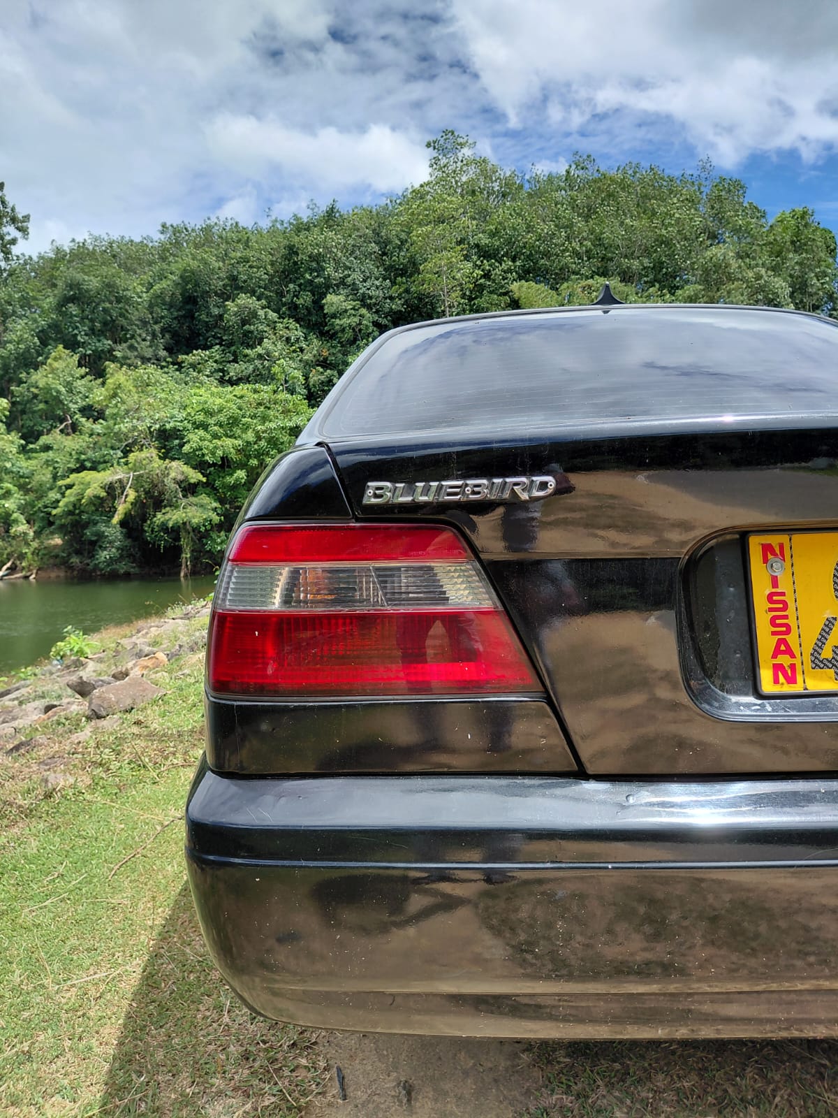 Nissan Bluebird 1999 - Used Car sale in Sri Lanka - patpat.lk