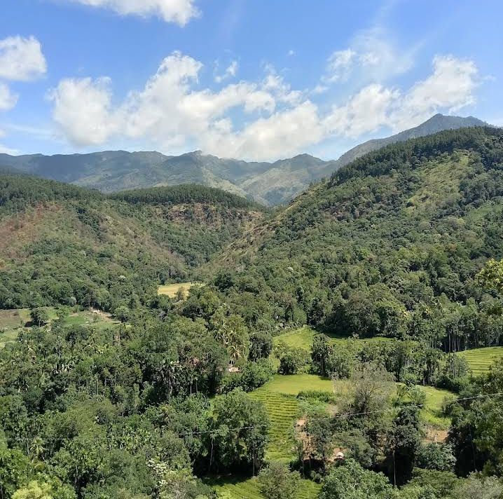 Agricultural Land for Sale in Haputale