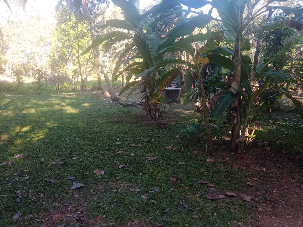 Residential Land for Sale in Mihintale
