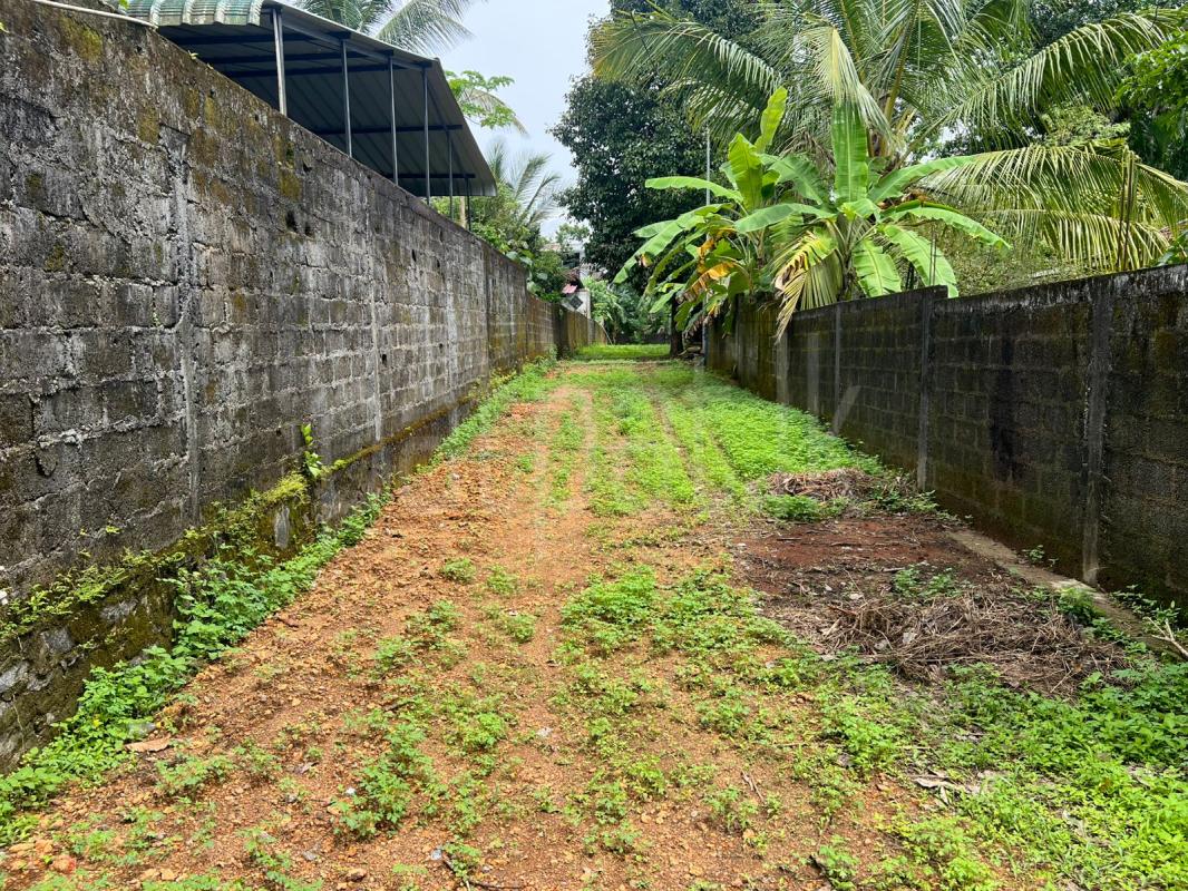 Residential Land for Sale in Adampan