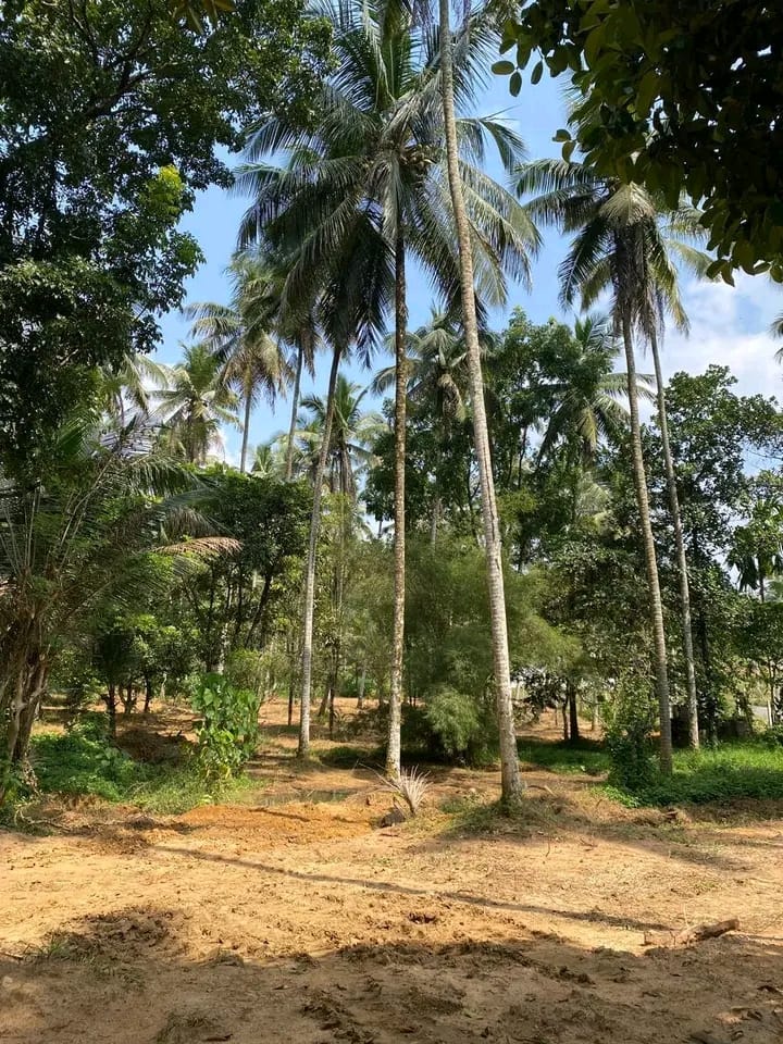 Commercial Land for Sale in Godagama