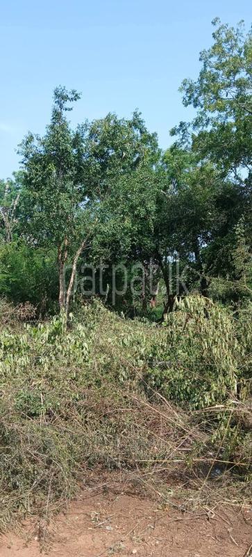 Residential Land for Sale in Kataragama