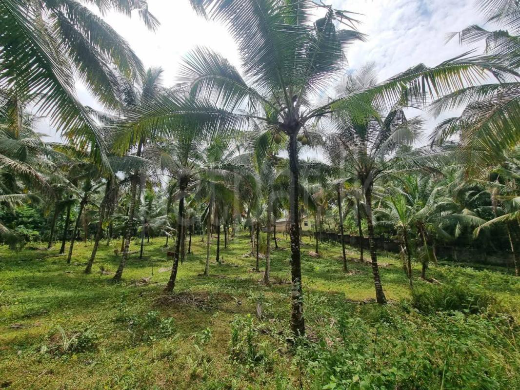Residential Land for Sale in Kirindiwela