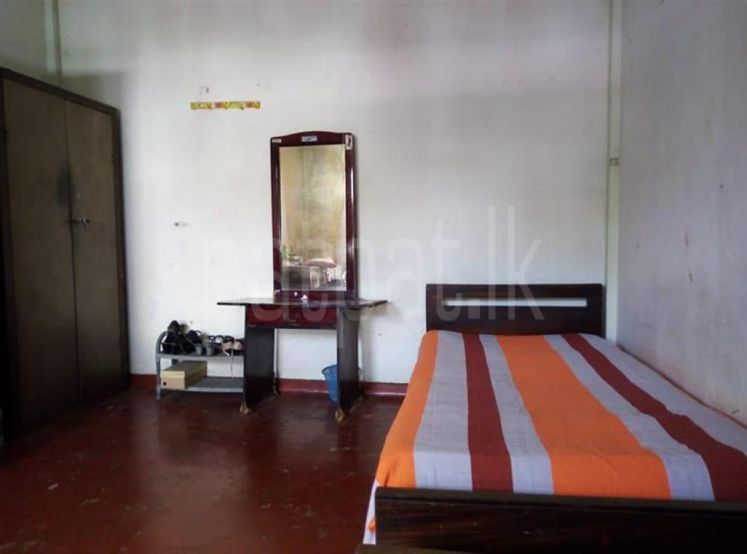 Room for Rent in Dehiwala